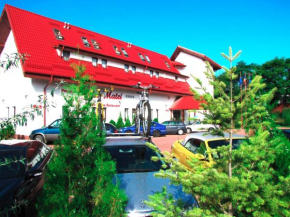 Гостиница Pensiunea Casa Matei  Берке